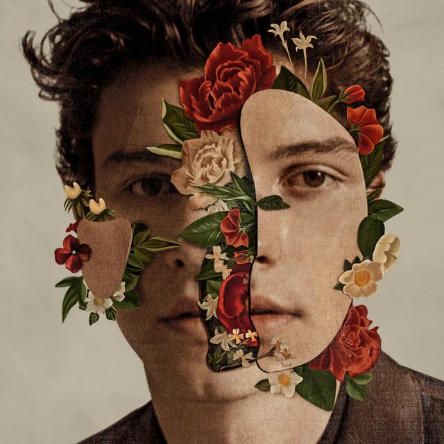 In My Blood – Shawn Mendes