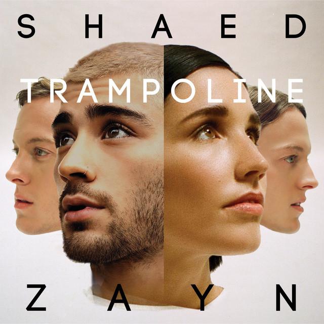 Trampoline (with ZAYN) – SHAED, ZAYN