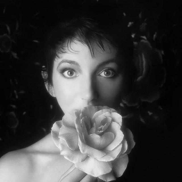Pressbild för Kate Bush
