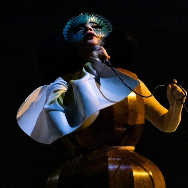 Pressbild för Björk