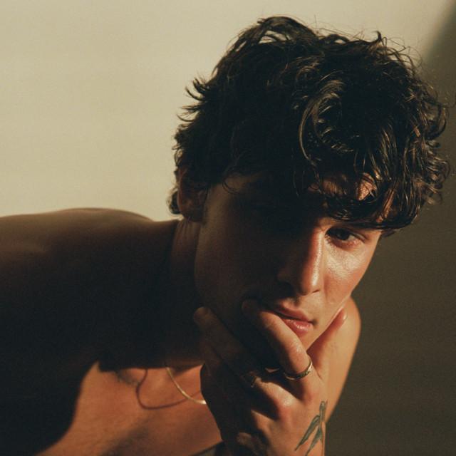 Pressbild för Shawn Mendes