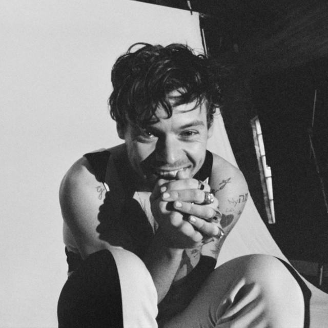 Pressbild för Harry Styles
