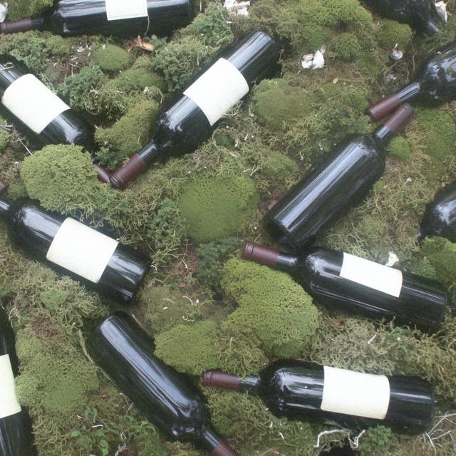 Jag vet, du är inte min – Jacub