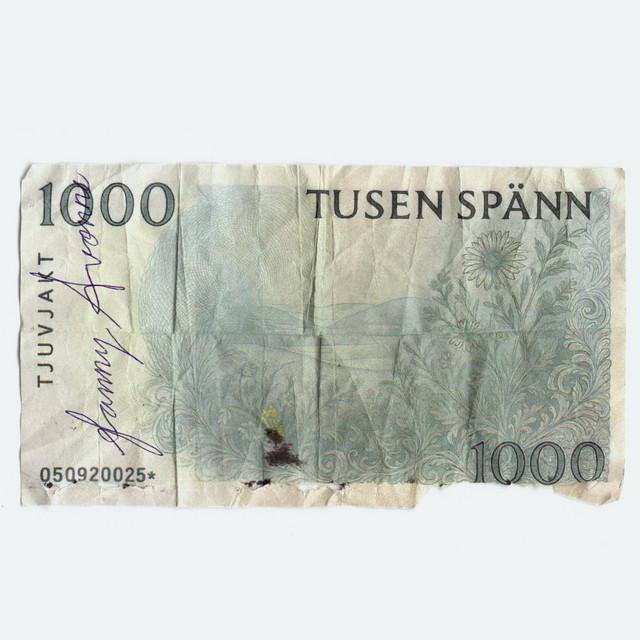 Omslag för Tusen spänn