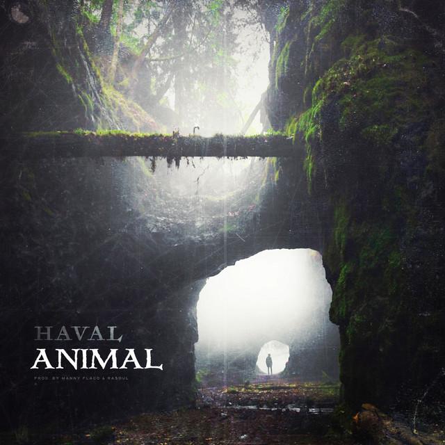 ANIMAL – HAVAL