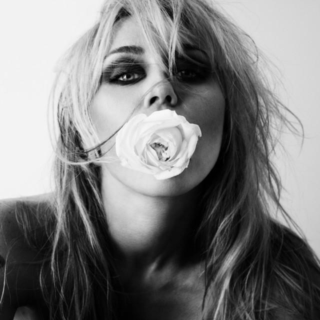 Bass Persuades – Miley Cyrus