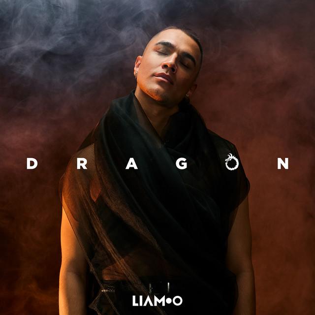 Dragon – LIAMOO