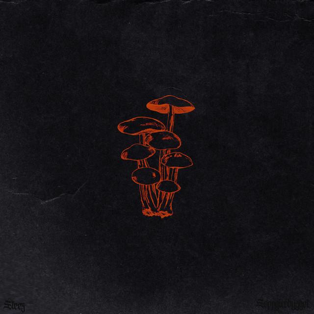 STEEZ – Soppgirobygget