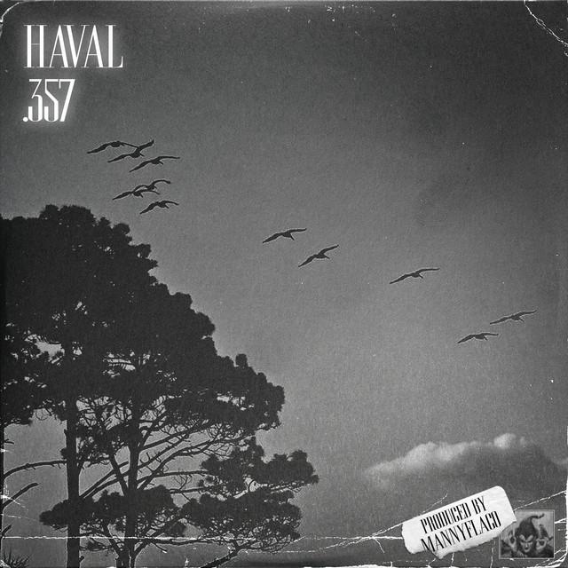 .357 – HAVAL