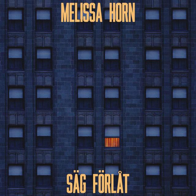 Säg förlåt – Melissa Horn