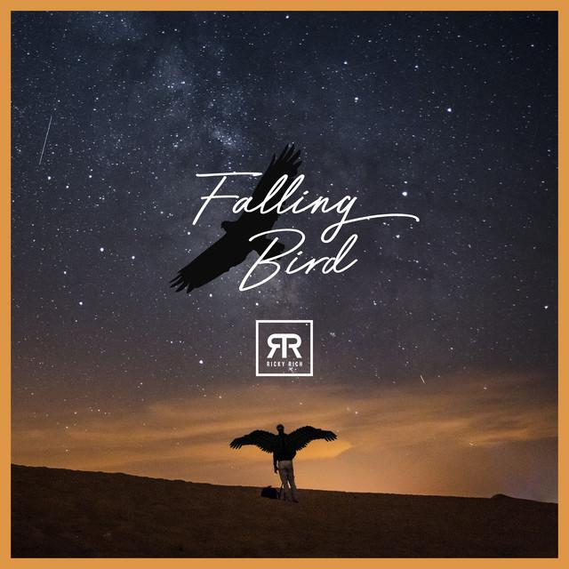 Falling Bird – Ricky Rich