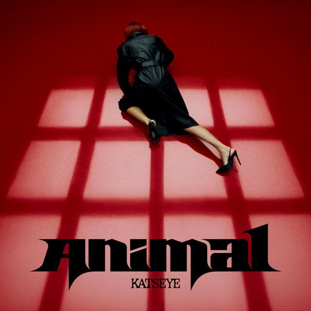Animal – KATSEYE