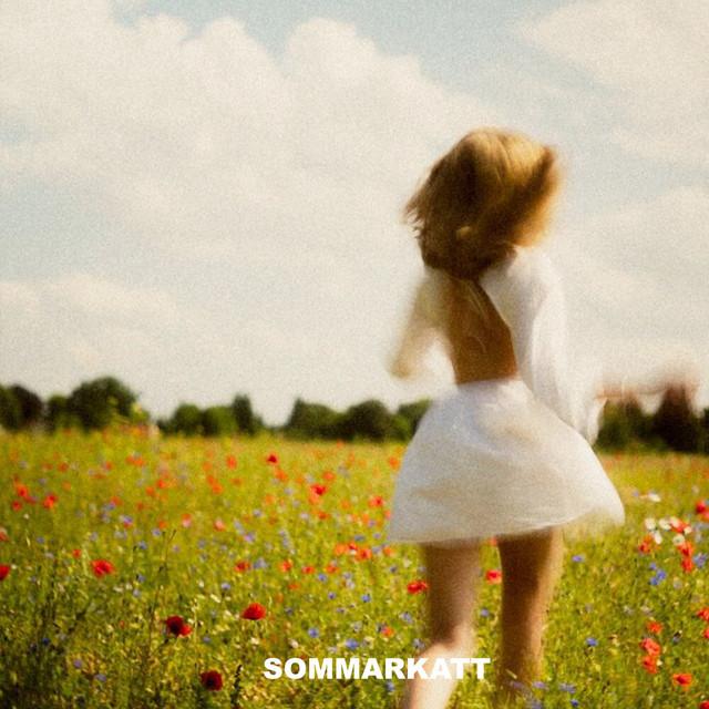 Sommarkatt – Lovet