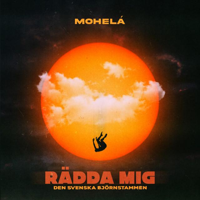 Rädda mig – Mohelá, Den svenska björnstammen