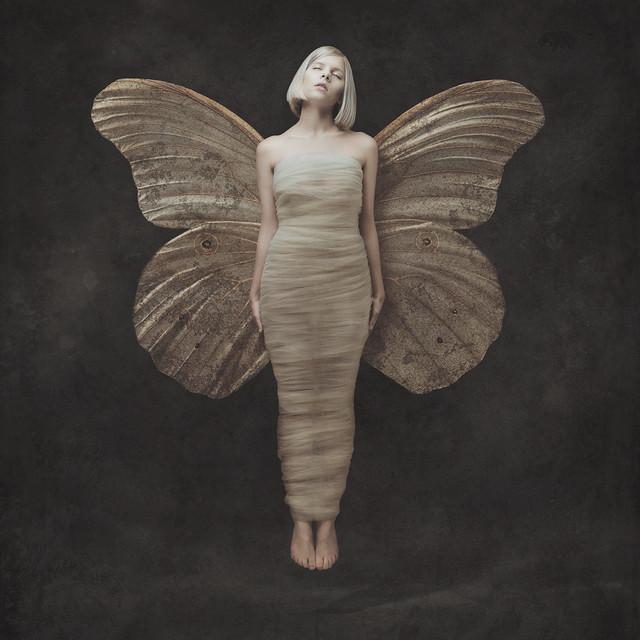 Runaway – AURORA
