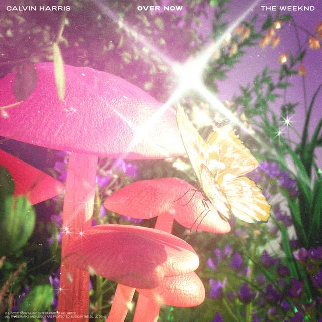 Over Now (with The Weeknd) – Calvin Harris, The Weeknd