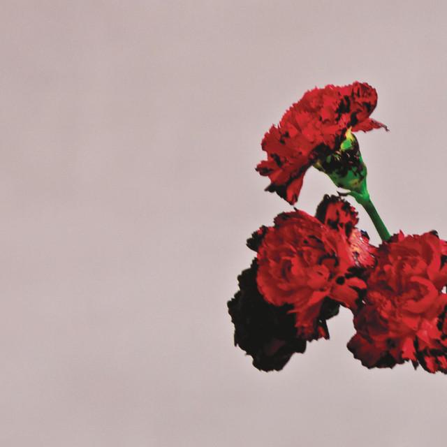All of Me – John Legend