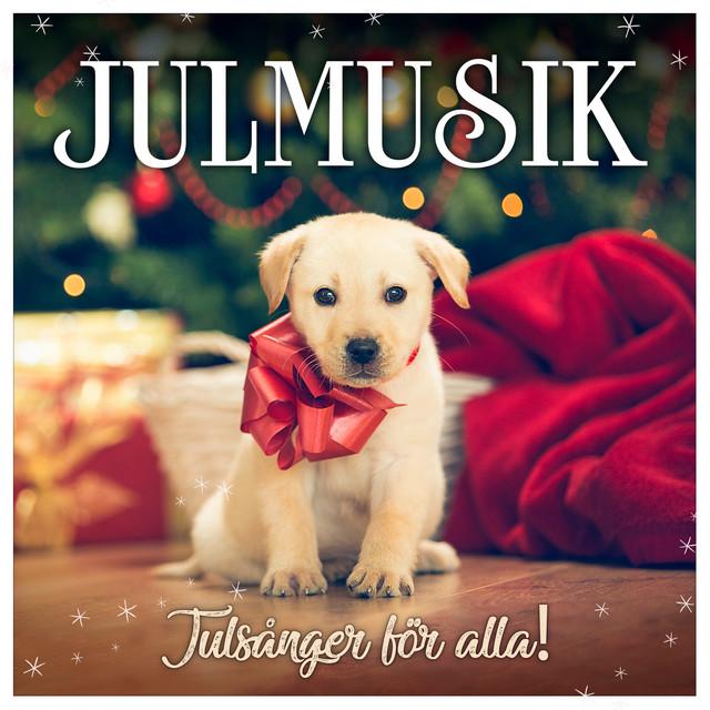 It's the Most Wonderful Time of the Year – Andy Williams