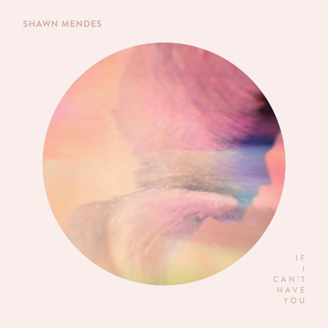 If I Can't Have You – Shawn Mendes