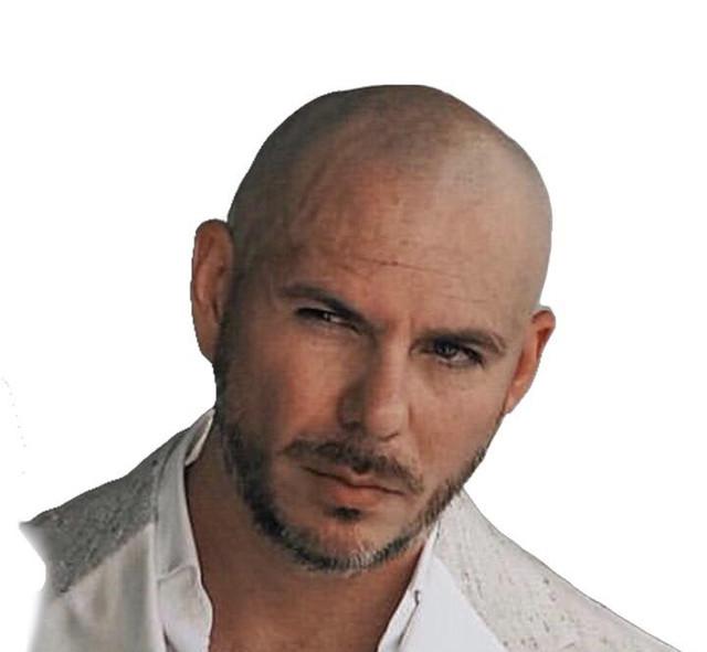 Pressbild för Pitbull